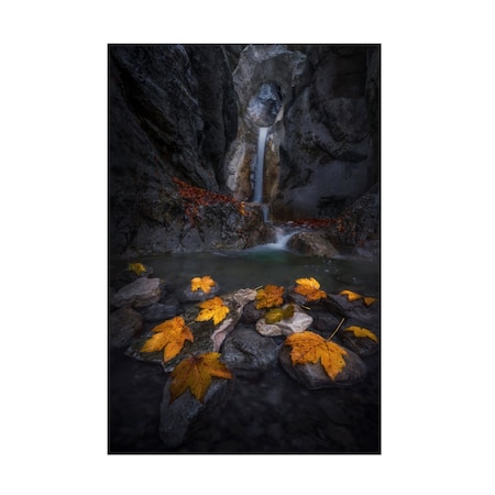 Nina Pauli 'Autumn Leaves In The Gorge' Canvas Art, 30x47
